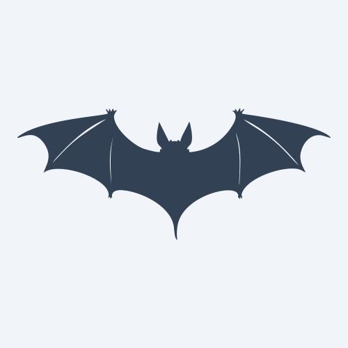 a bat vector