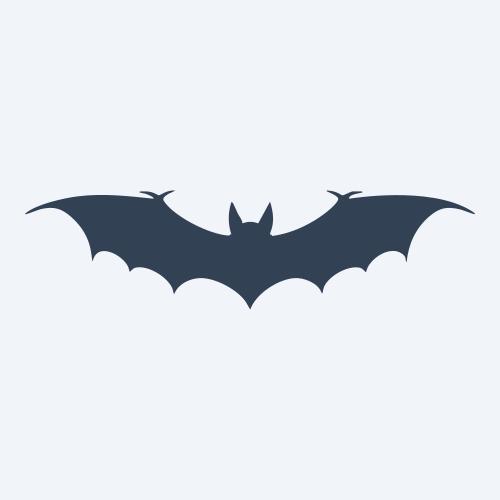 a bat vector