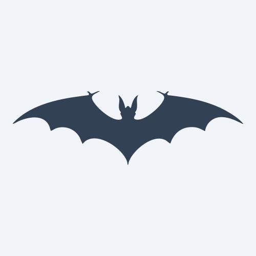 a bat vector