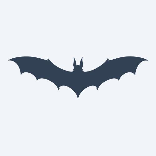 a bat vector