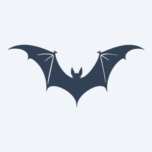 a bat vector