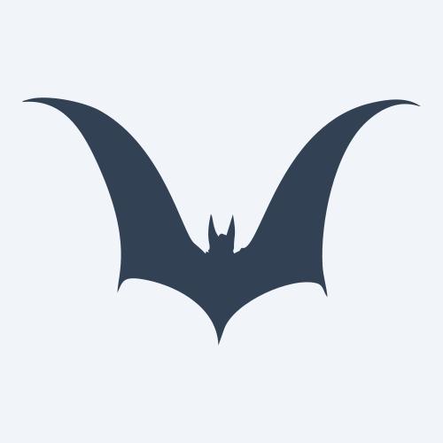 a bat vector