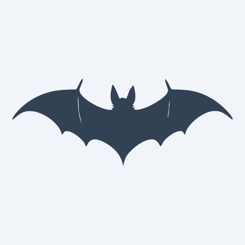 a bat vector