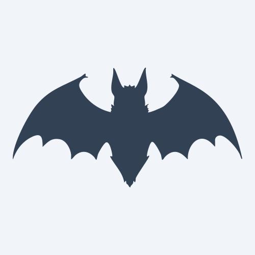 a bat vector