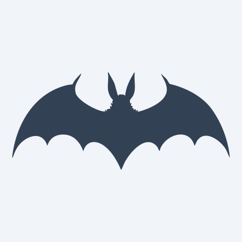 a bat vector