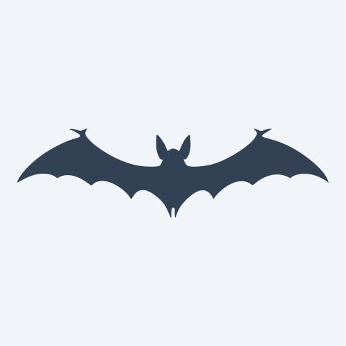 a bat vector