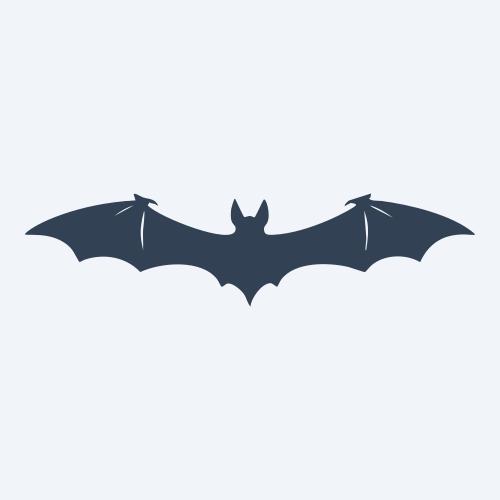 a bat vector
