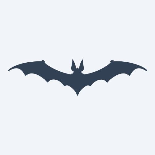 a bat vector