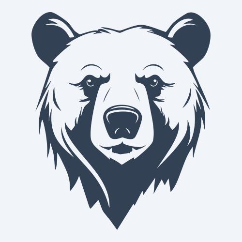 a bear vector