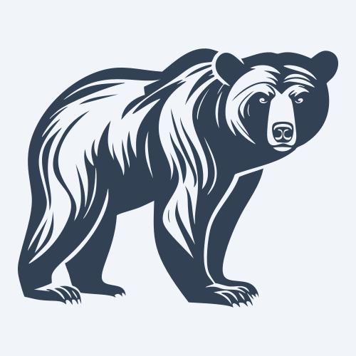 a bear vector