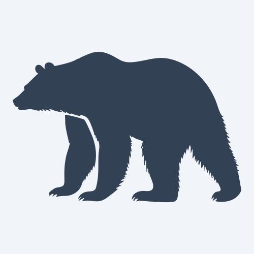 a bear vector