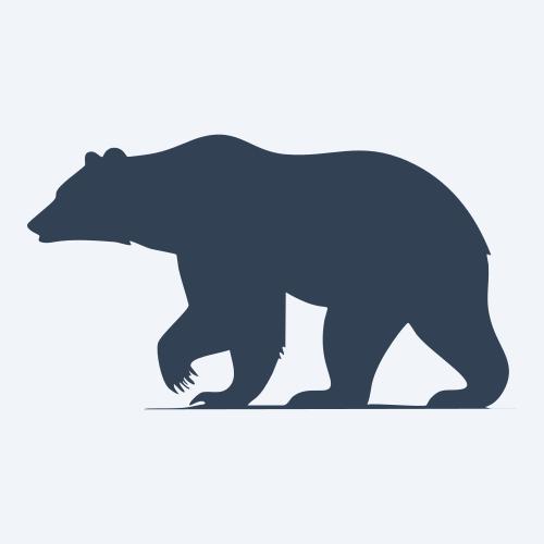 a bear vector