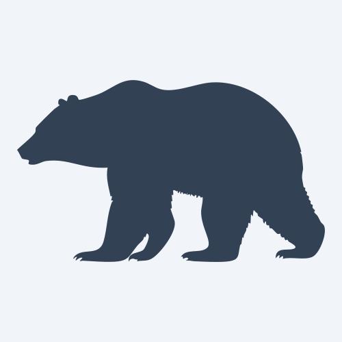 a bear vector