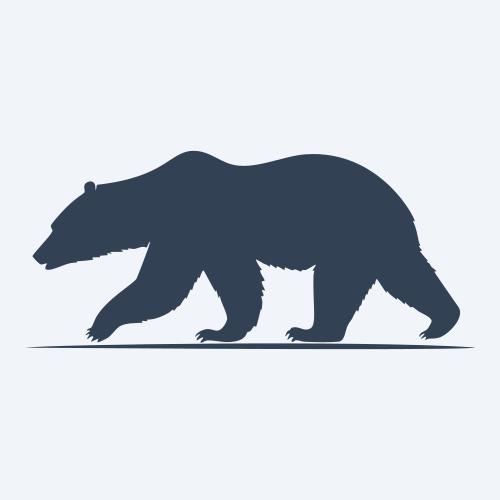 a bear vector
