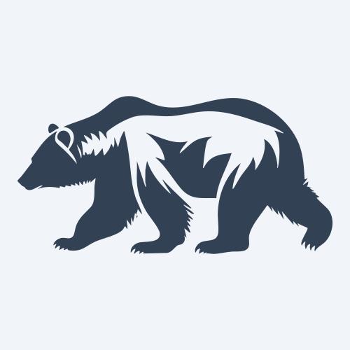 a bear vector