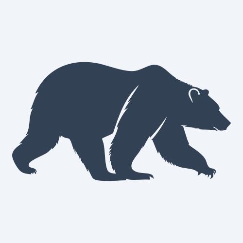 a bear vector