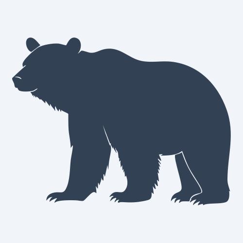 a bear vector