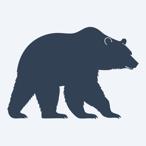 a bear vector