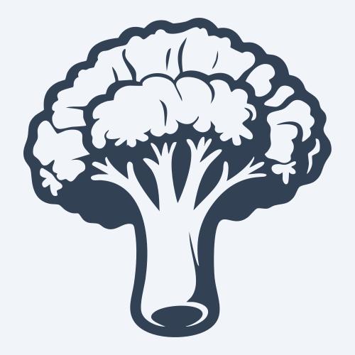 a broccoli vector