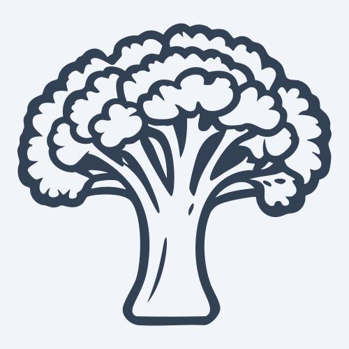 a broccoli vector