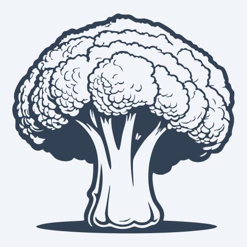 a broccoli vector
