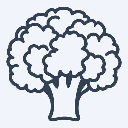 a broccoli vector