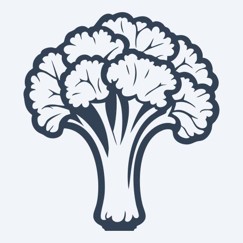 a broccoli vector