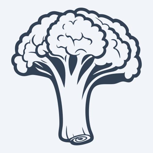 a broccoli vector