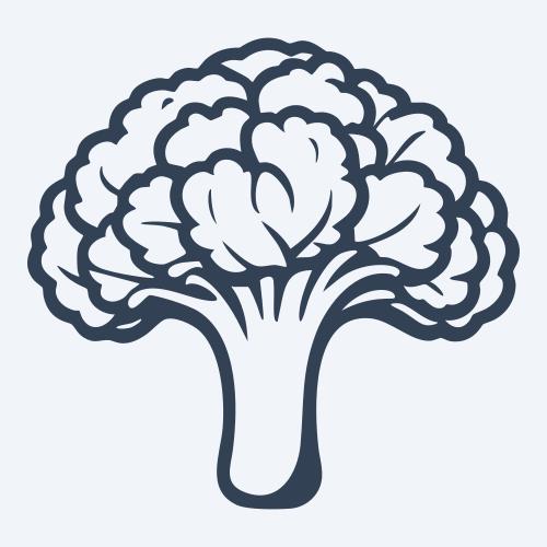 a broccoli vector