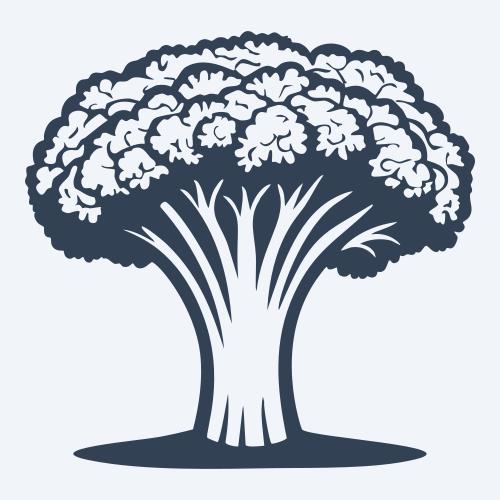 a broccoli vector