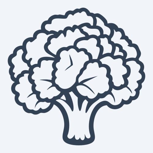 a broccoli vector