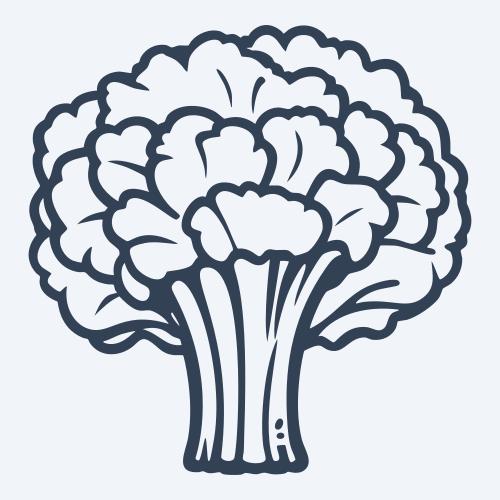 a broccoli vector