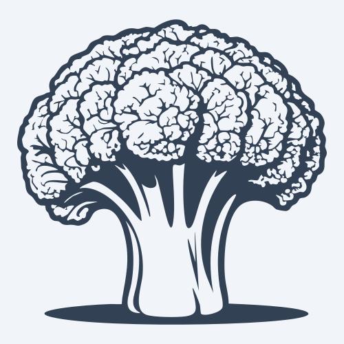 a broccoli vector