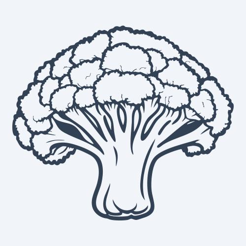 a broccoli vector