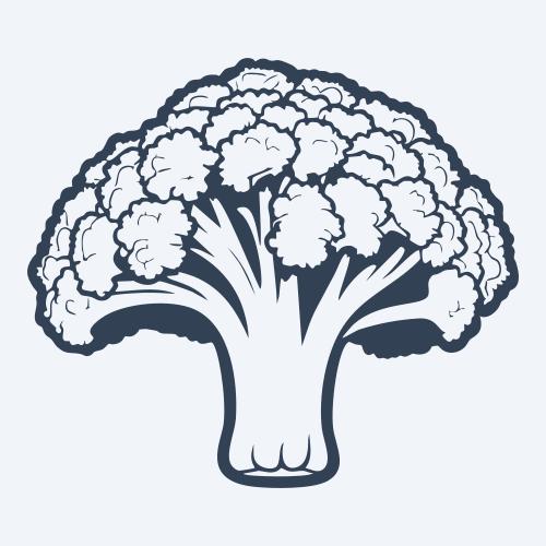 a broccoli vector