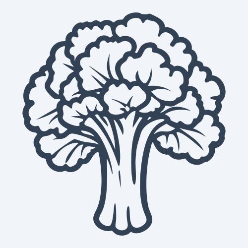 a broccoli vector