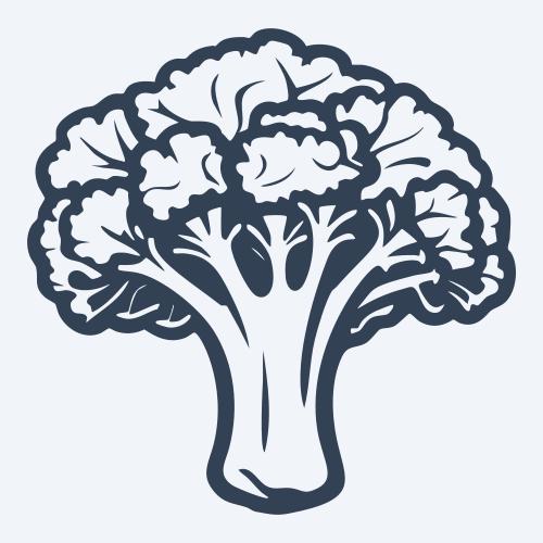 a broccoli vector