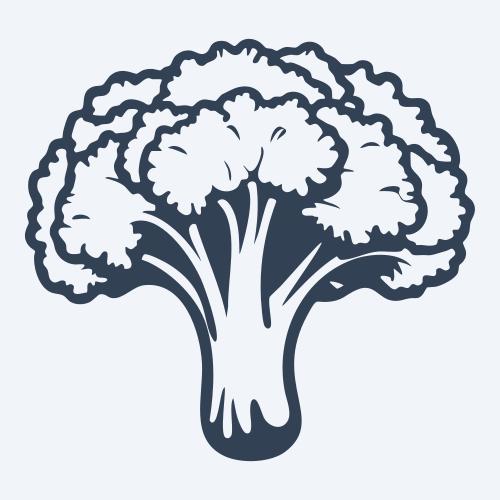 a broccoli vector