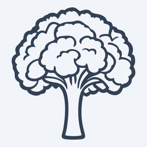 a broccoli vector