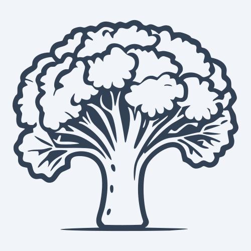 a broccoli vector