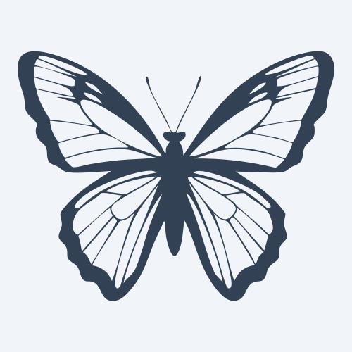 a butterfly vector