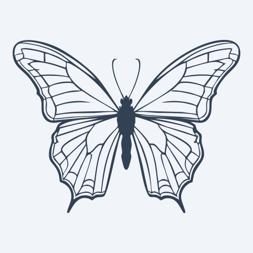 a butterfly vector