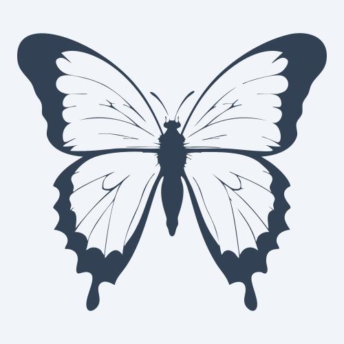 a butterfly vector