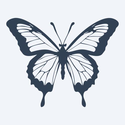a butterfly vector
