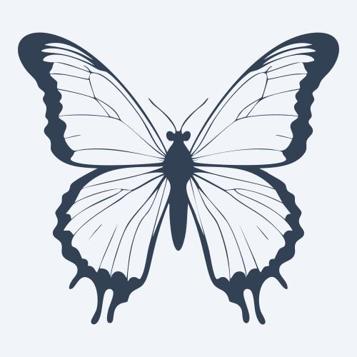 a butterfly vector