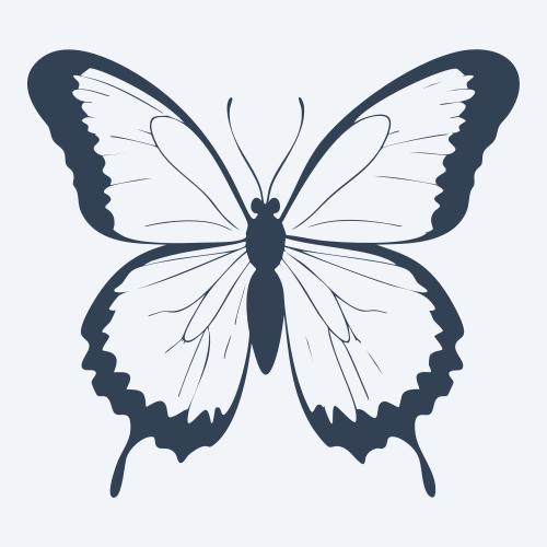 a butterfly vector