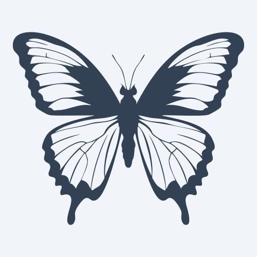 a butterfly vector