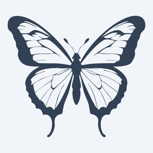 a butterfly vector