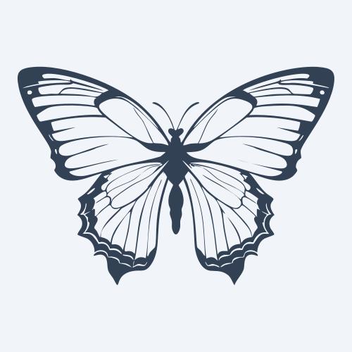 a butterfly vector