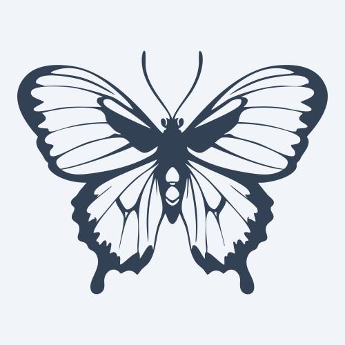 a butterfly vector
